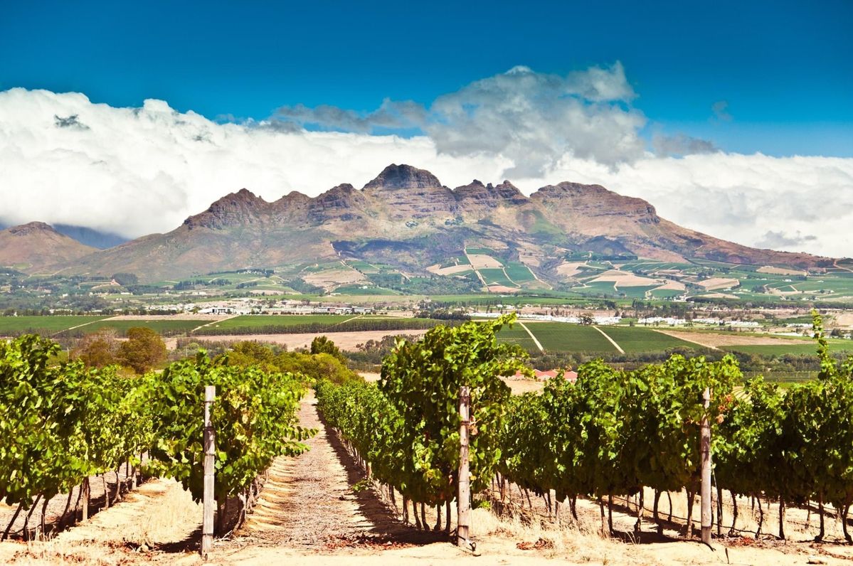 Tour de 2 dias por la Peninsula del Cabo y la region vinicola – Belleza y sabores