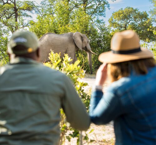 Safaris a pie en África: Conéctate con la naturaleza