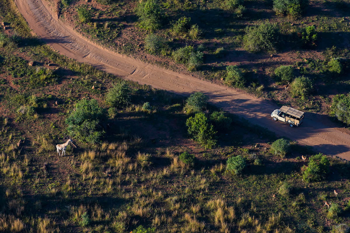 Safari de lujo en el Ivory Tree Game Lodge - 4 días