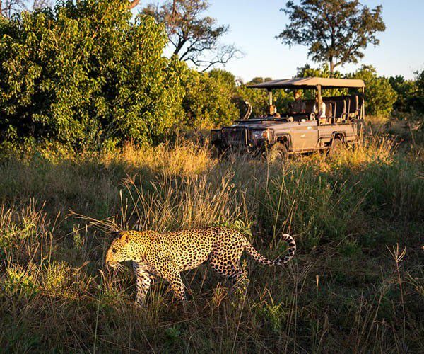 Safari de 3 días por Chobe y el Delta del Okavango