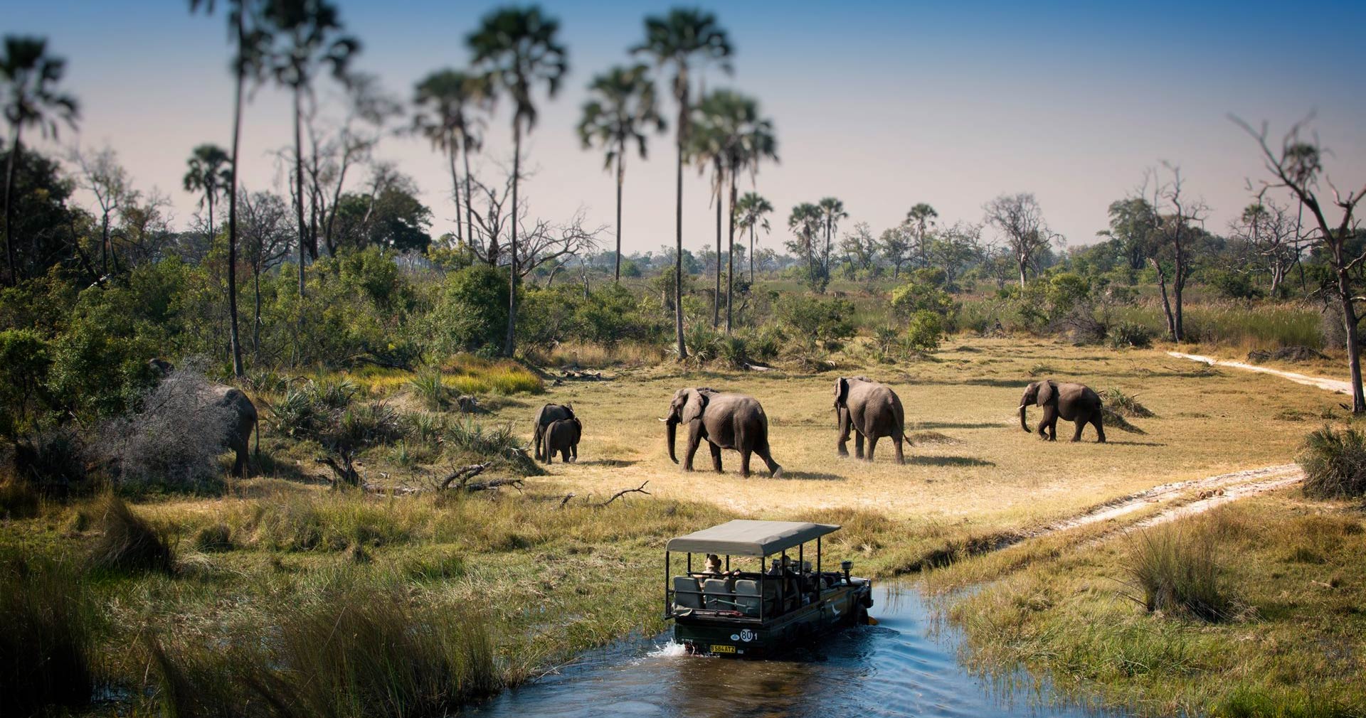 Safari de 6 Días: Cataratas Victoria y Cinco Grandes en Chobe