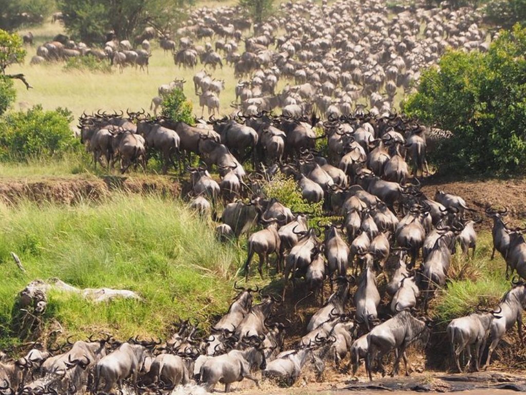 Mejor época para Tanzania: guía completa para planificar tu safari