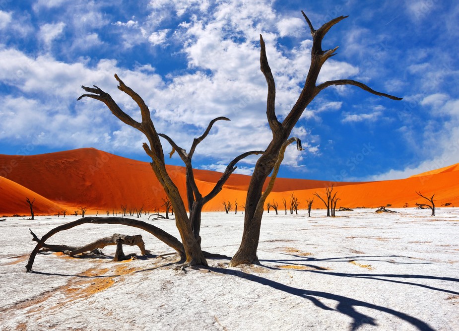Viajar sola en Namibia: guía completa para descubrir África con libertad.