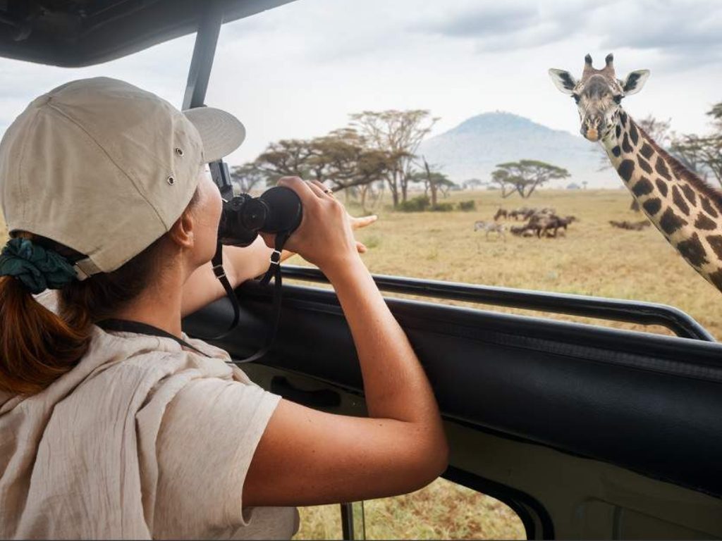 Precio de un safari en Sudáfrica: guía completa