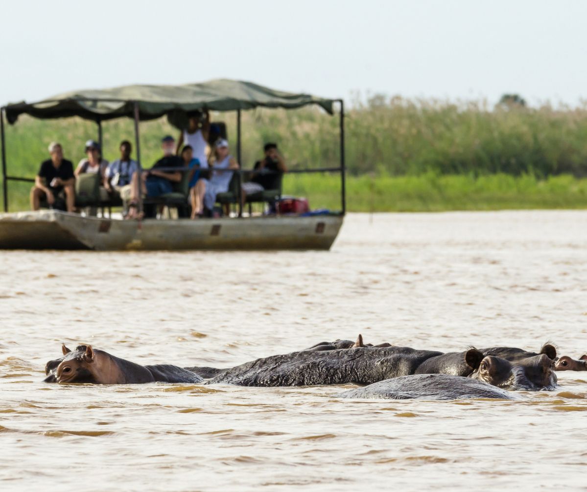 Mejor época para un safari en Botsuana y Namibia