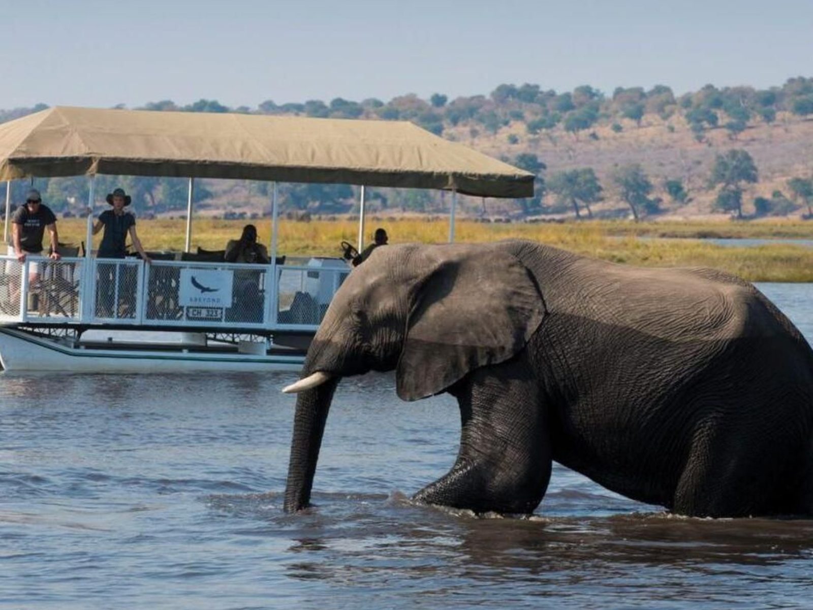 Safari en barco o en 4x4 en Chobe: ¿cuál es la mejor experiencia?