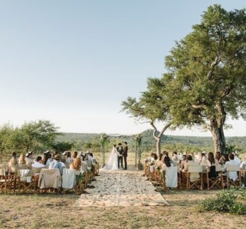 Bodas de safari: diciendo “sí, acepto” en la naturaleza