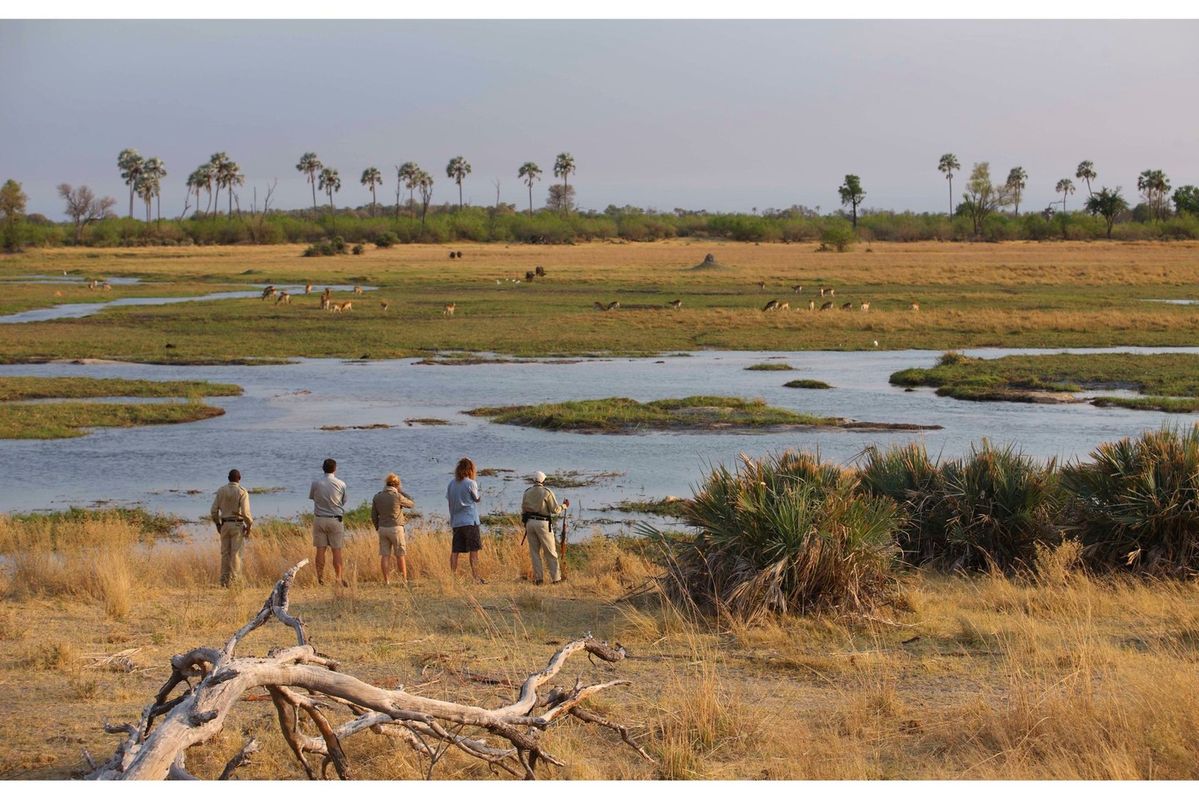 Paisaje de Big Five Safaris