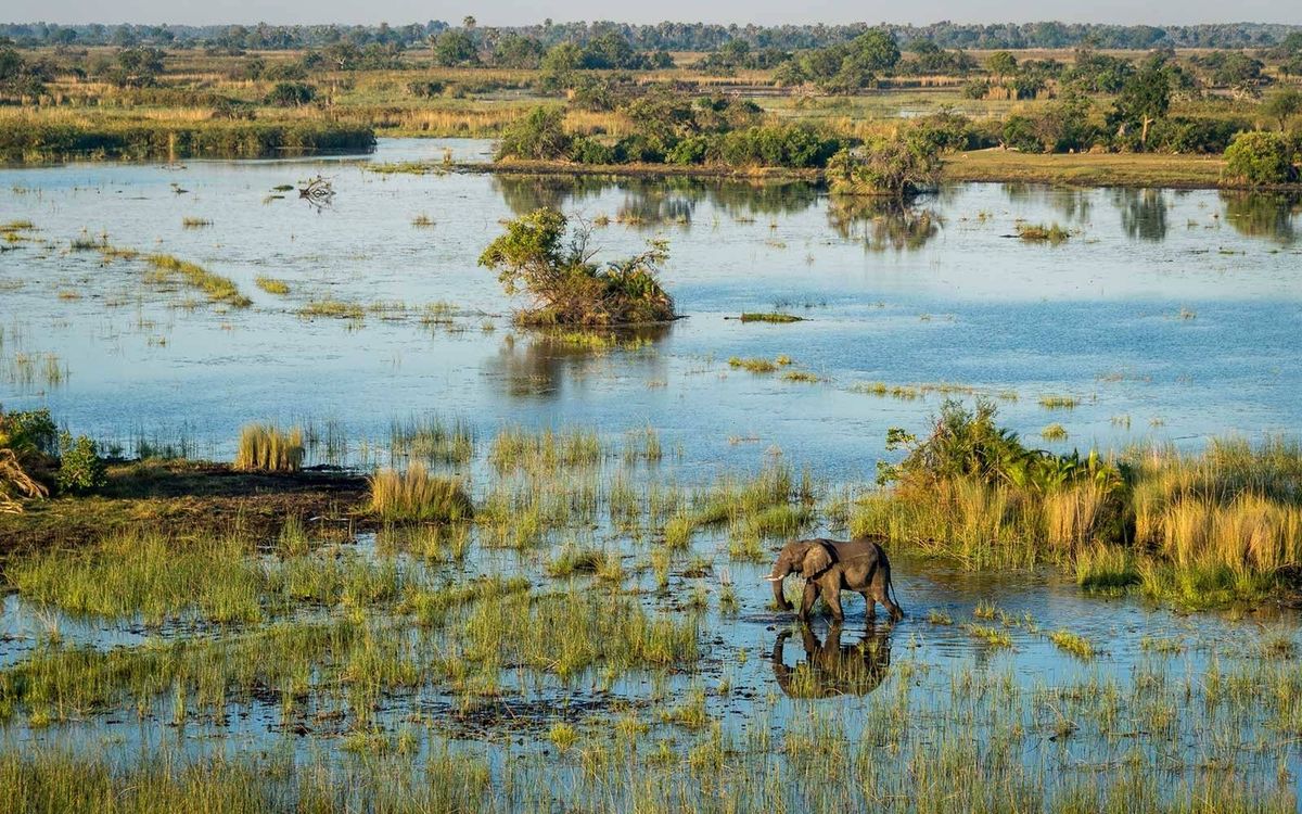 Safari económico para turistas españoles: Vive África sin gastar mucho