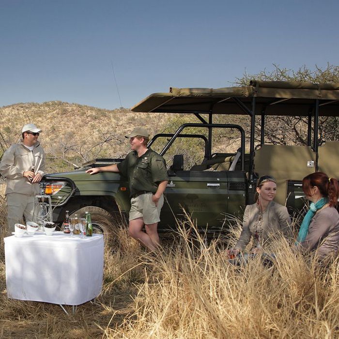 Safari sin malaria en Sudáfrica: Los Mejores Destinos para Viajar con Tranquilidad