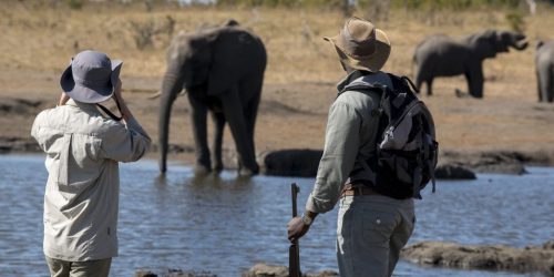 7 días de safari en coche, barco y a pie