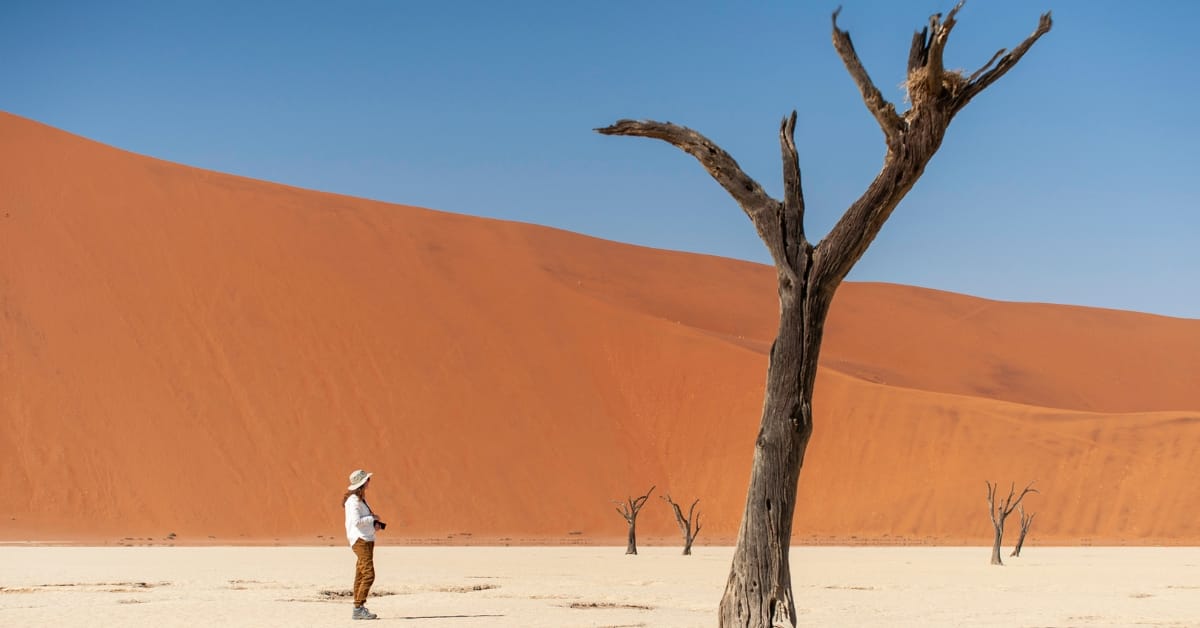 Tour de 10 días por el desierto, la vida silvestre y la cultura de Namibia: imagen 5 de la experiencia