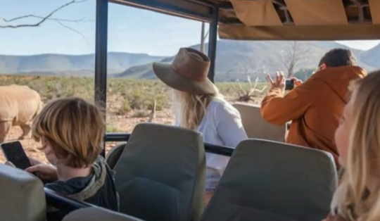 Guía completa para hacer tu primer safari africano