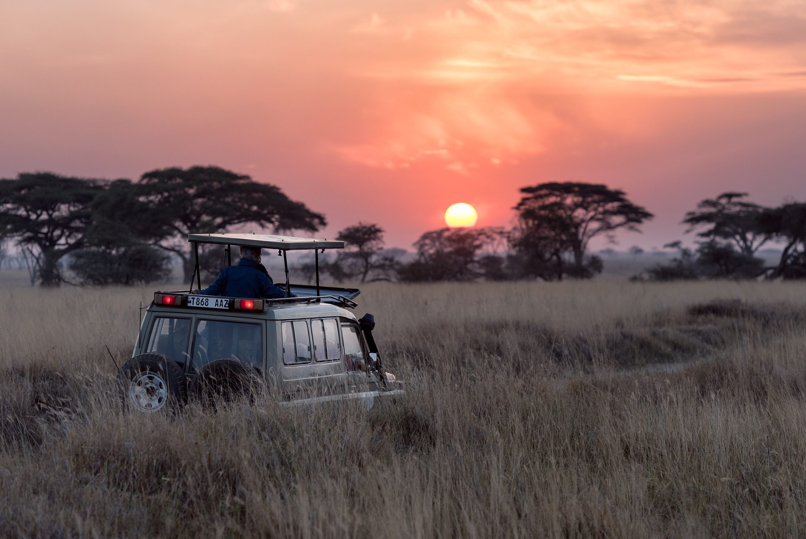¿Cómo es un día de Safari?