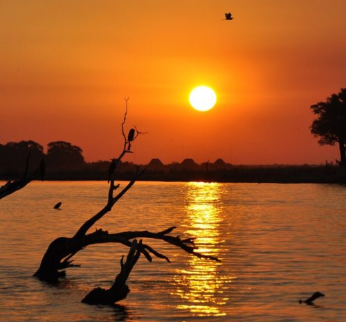 Los mejores destinos de safari para viajeros primerizos