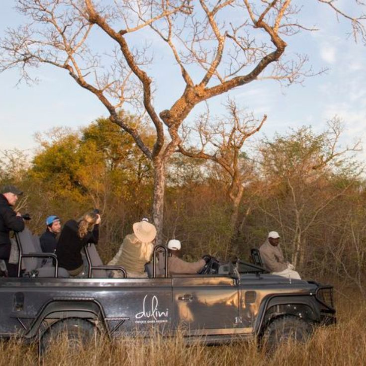 De Johannesburgo a Kruger: 5 Días de Emoción Salvaje