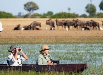 Safari de 6 días para ver a los Cinco Grandes: Aventura en Chobe y el Delta del Okavango