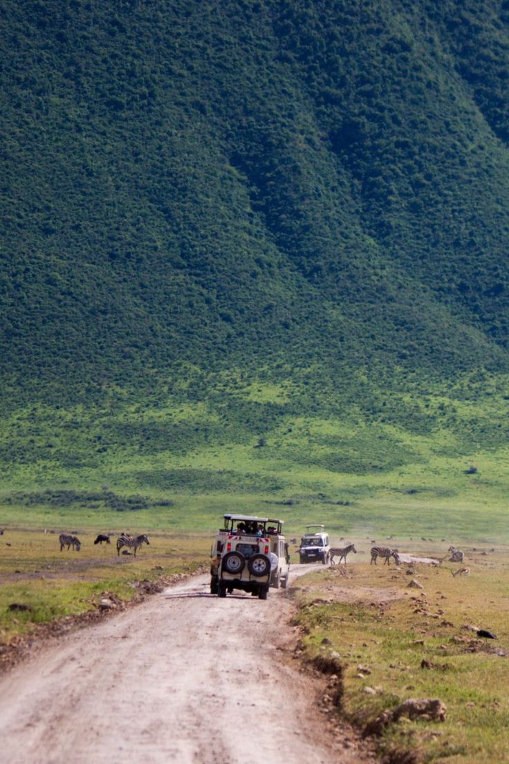 Safari Aéreo de 5 Días desde Zanzíbar: Serengeti, Ngorongoro y Tarangire