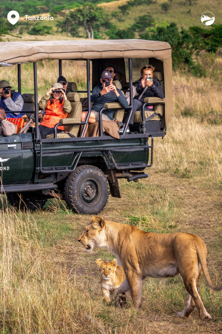Viaje definitivo de safari y paisajes de 6 días por Ciudad del Cabo: imagen 6 de la experiencia