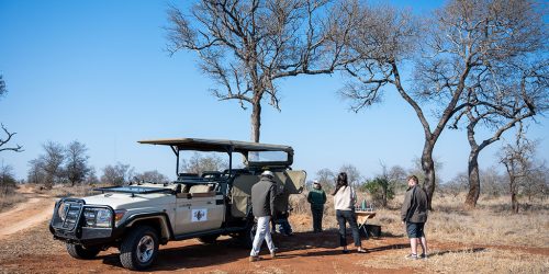 4-Días de Safari en el Parque Nacional Kruger y Spa