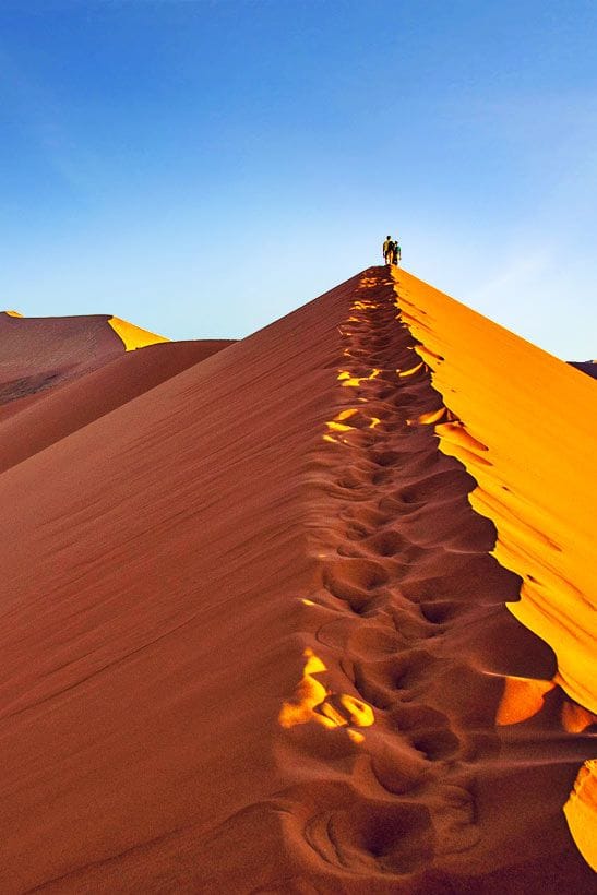 Tour de 10 días por el desierto, la vida silvestre y la cultura de Namibia: imagen 3 de la experiencia