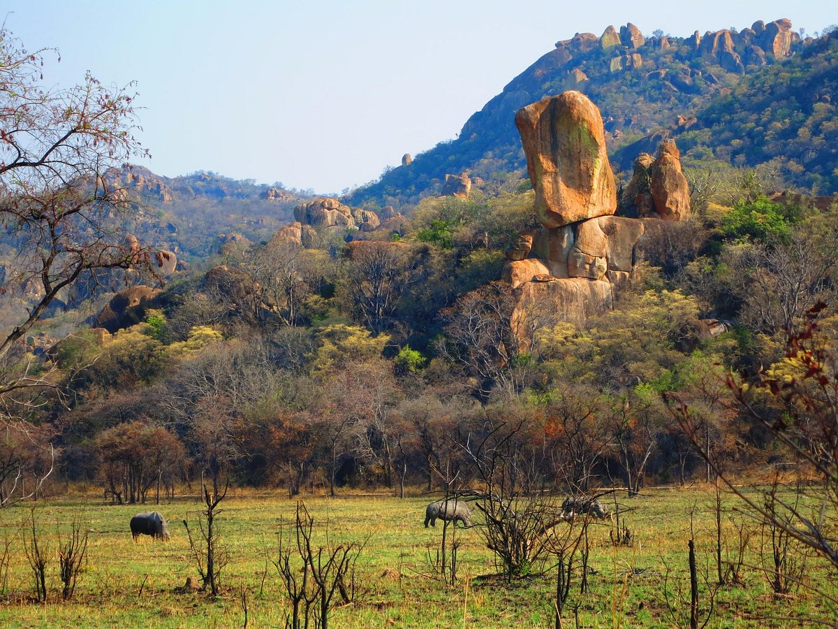 Parque Nacional Hwange