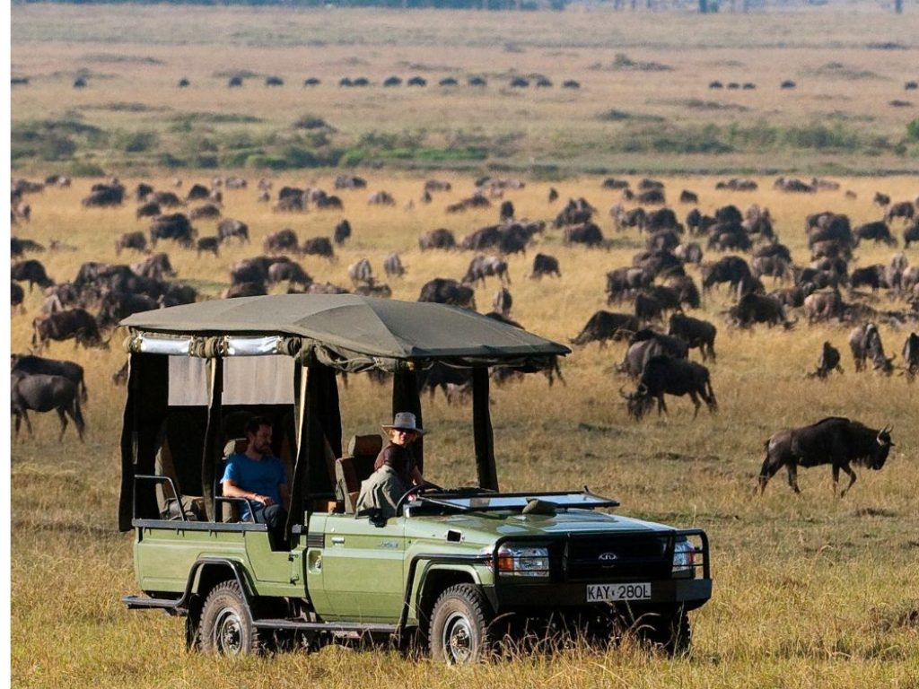 Safari en Kenia: la cuna del safari africano