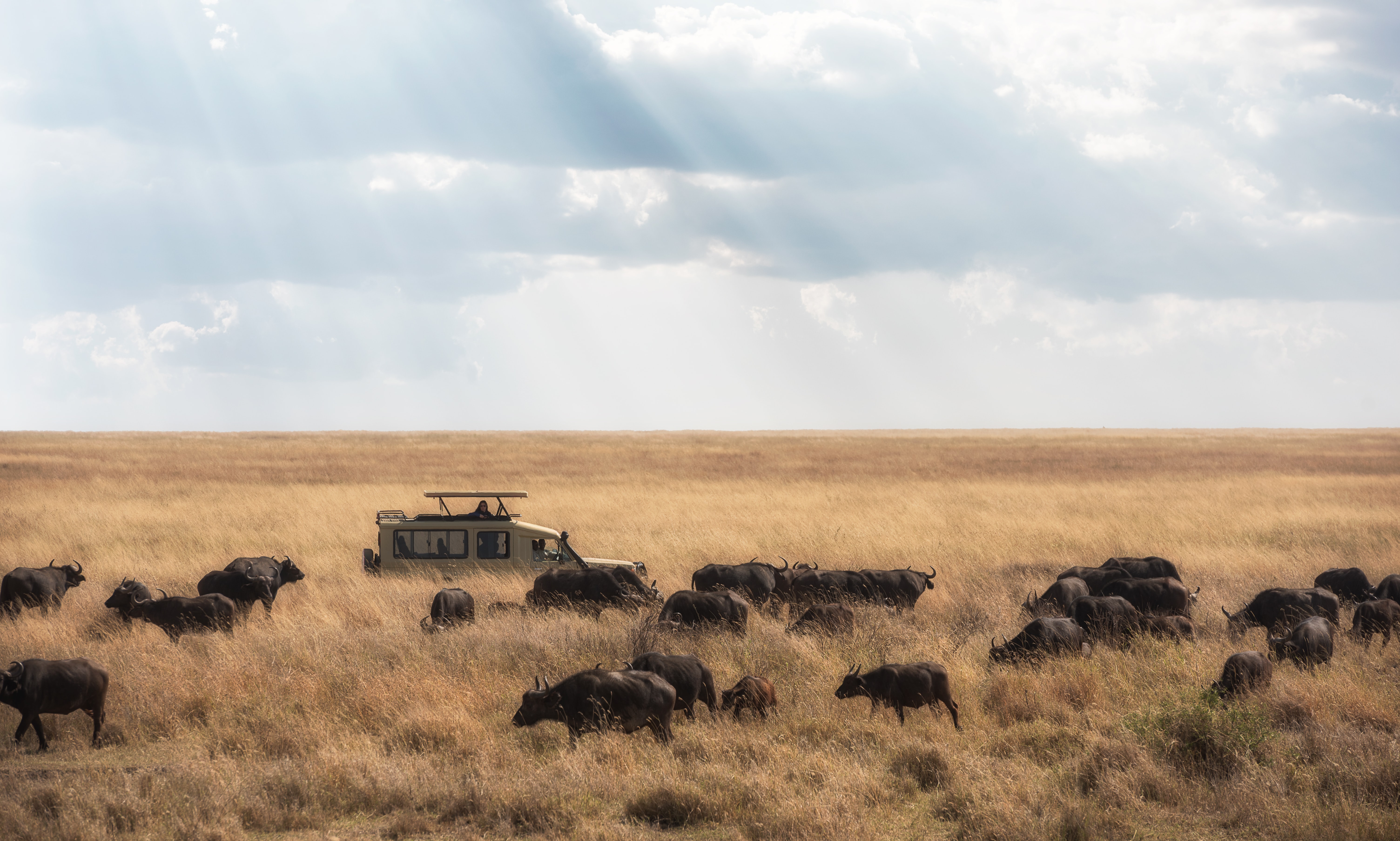 ¿Cómo es un día de Safari?