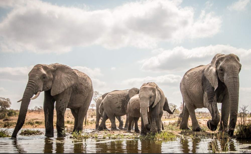 Sudáfrica, Botsuana y Cataratas Victoria: itinerario de 10 a 14 días