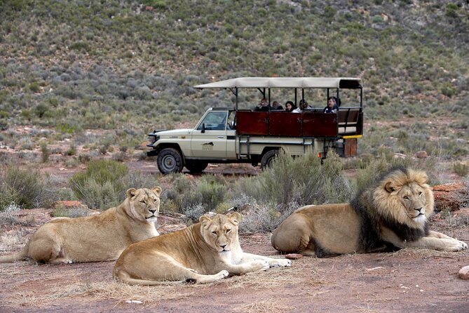 Cuánto cuesta un safari privado en África