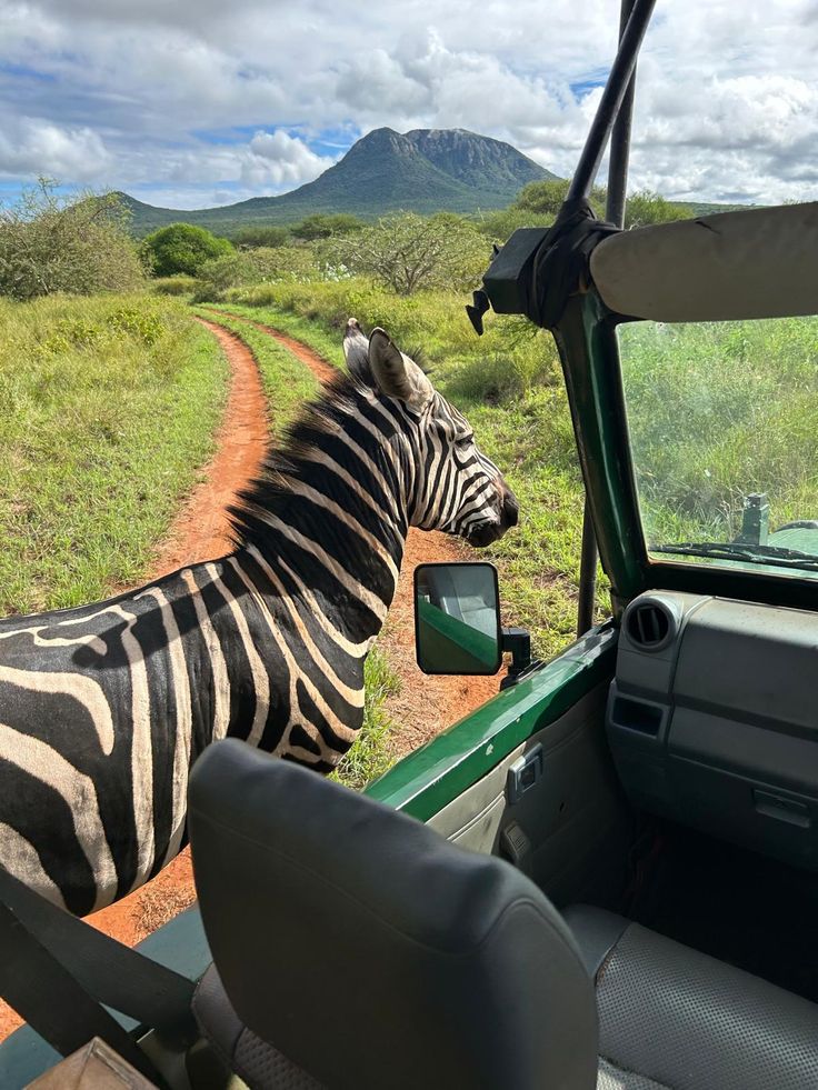 Safari Signature de 4 dias – Kruger y Panoramica con vida silvestre