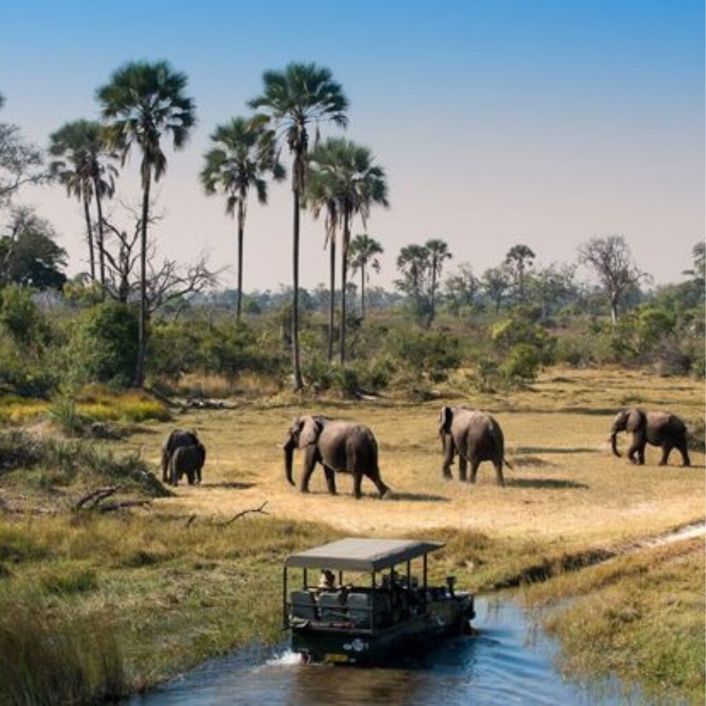 Paisaje de Experiencias de safari