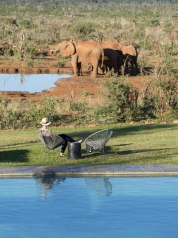 Chobe safari