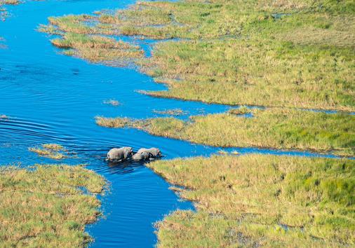 3 dias en el Okavango – Travesias en mokoro y campamento en la naturaleza