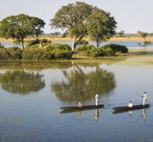 Safaris en Canoas en Botsuana: Una Perspectiva Diferente de la Vida Silvestre
