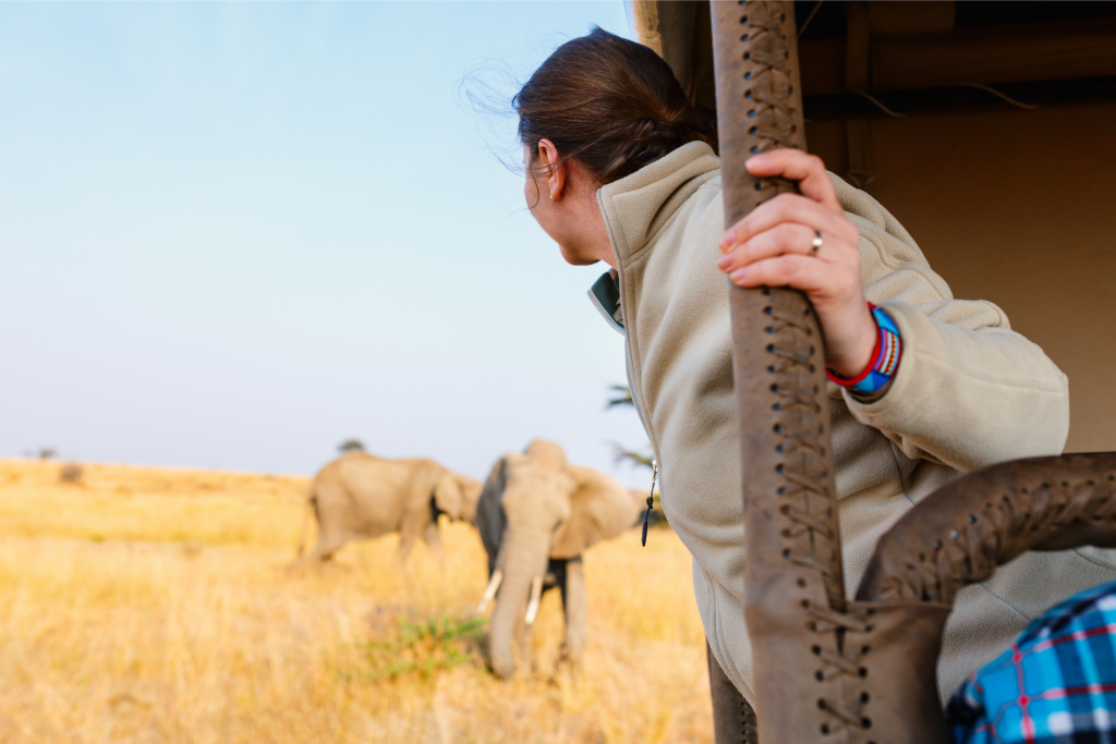 Safaris packages in South Africa