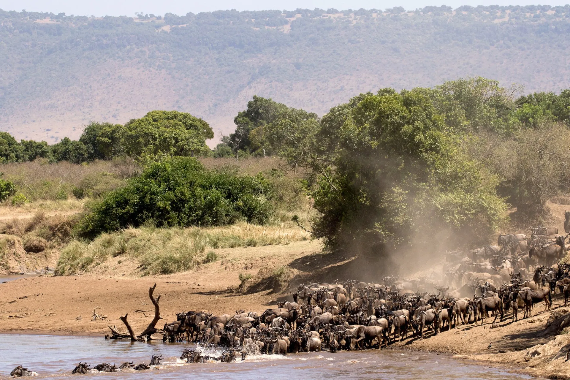 sudafrica advice conseils Krüger Nationalpark