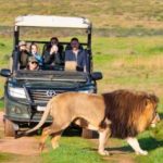 Garden Route Game Lodge