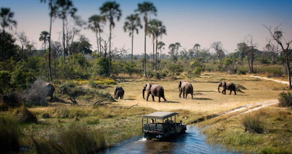 Safari de 6 Días: Cataratas Victoria y Cinco Grandes en Chobe