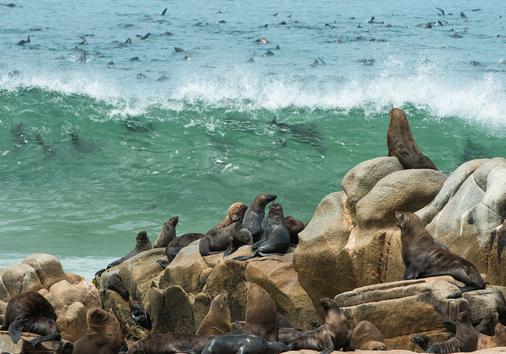Safari Dumela Económico de 3 Días con Vuelo desde Ciudad del Cabo – Camping