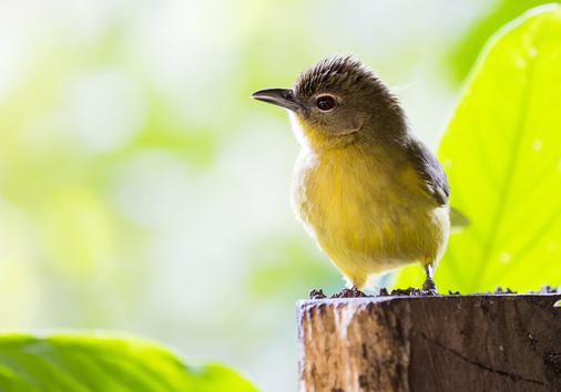 Aventura de Vida Silvestre y Ciudad en Windhoek con Almuerzo – Medio Día