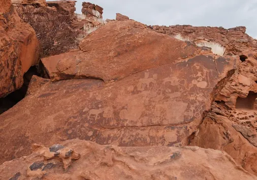 Aventura de 7 Días en Namibia: Dunas, Costa y Safari