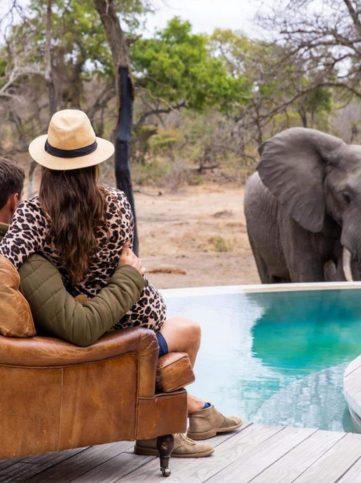 💍 Safaris de luna de miel