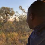 Safari Por vehiculo en el parque nacional kruger