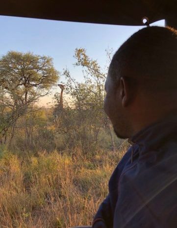 Safari Por vehiculo en el parque nacional kruger