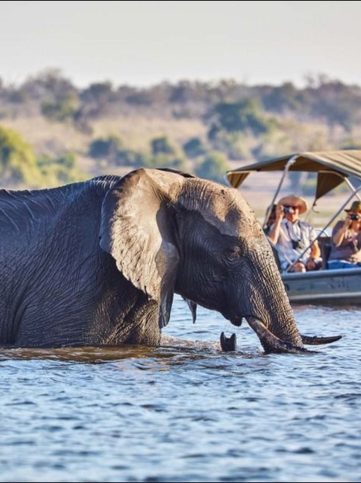 Parque Nacional Chobe