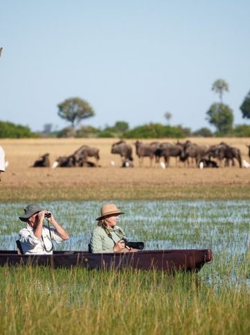 Delta del Okavango