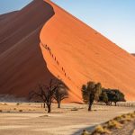 Dunas de desierto de Namib