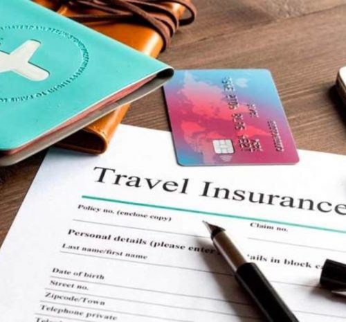 seguro de viaje para un safari