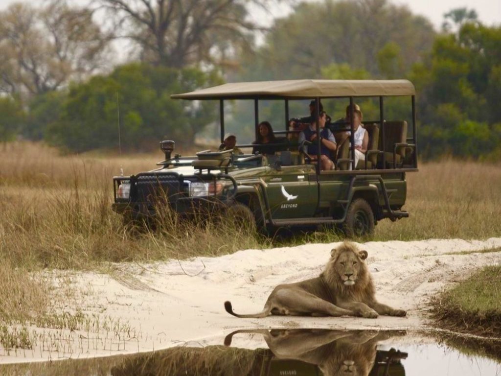 Reserva de caza Moremi